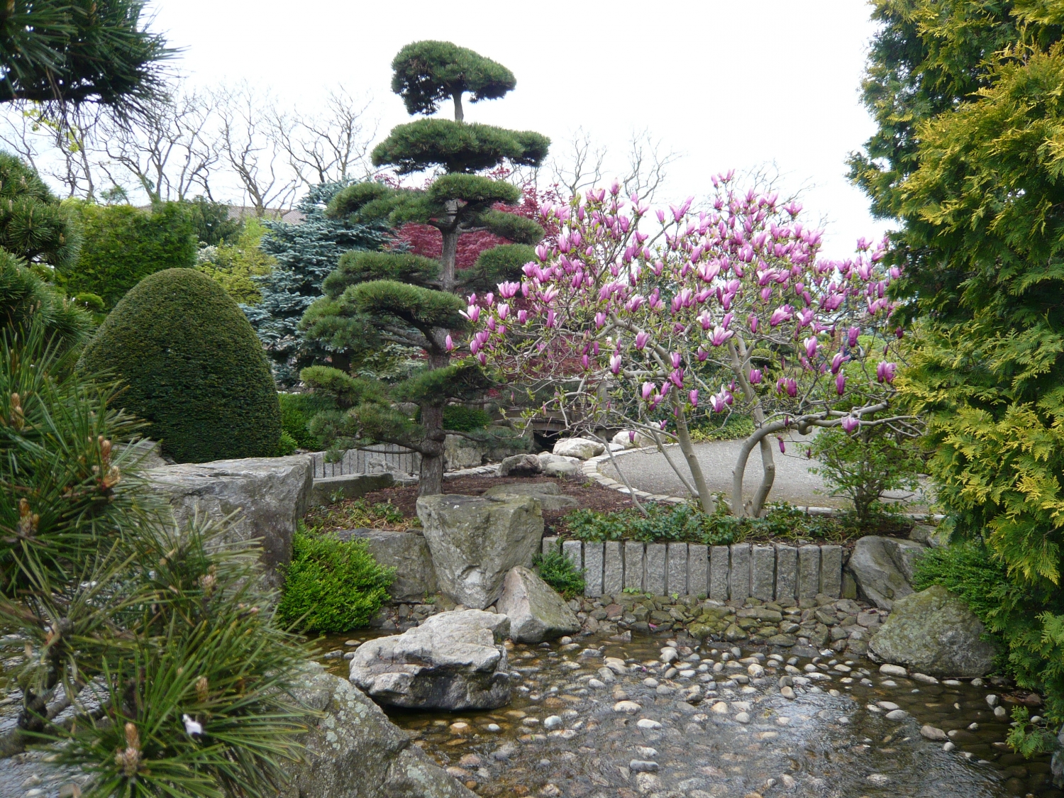 30 Jahre Japanische Garten - Bürgerverein Betzenhausen-Bischofslinde